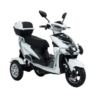 three wheel electric bike