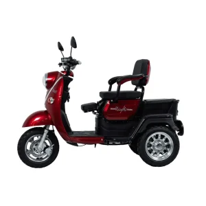 electric three wheeler