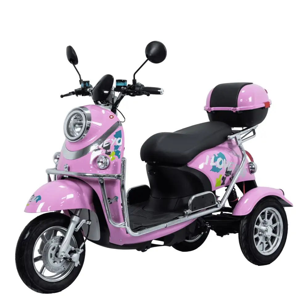 China High Quality Electric Tricycles Wholesale 10 Inch
