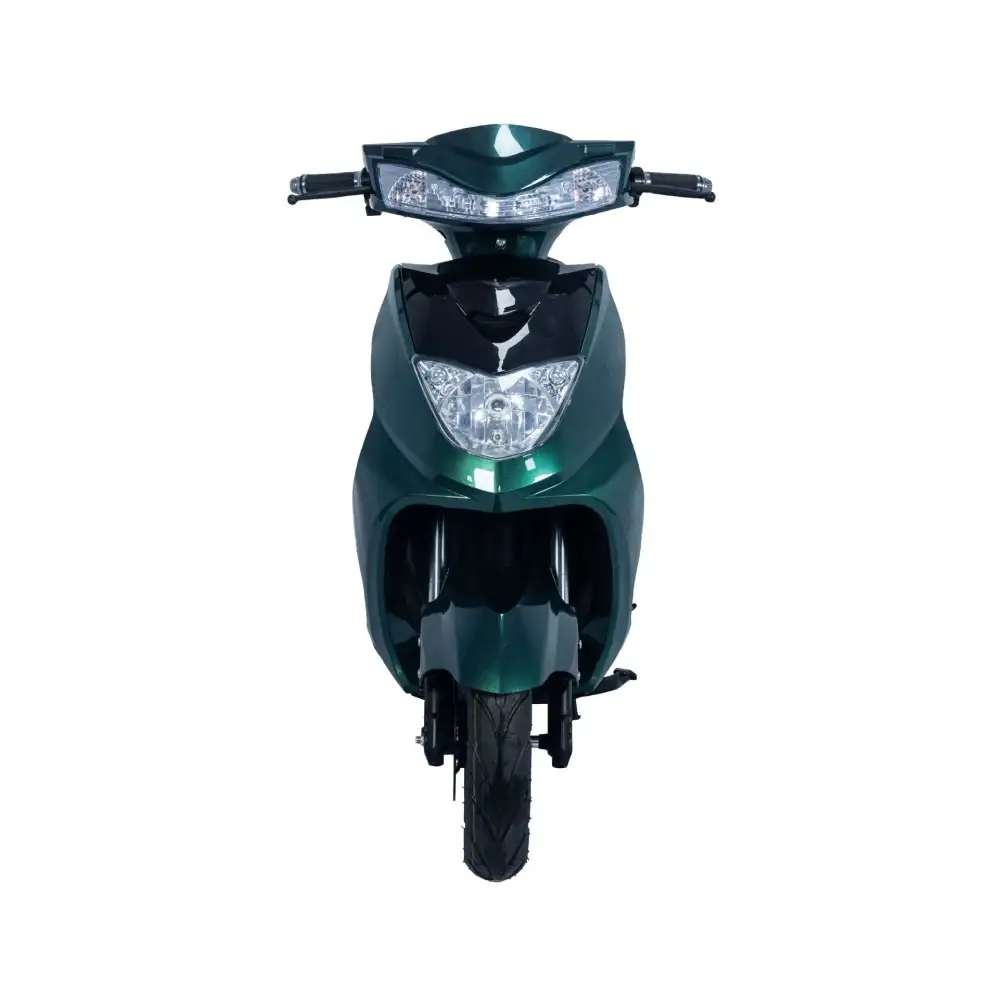 SM2DM-48 Swift Eagle 1000W – Chinese Motorcycle Manufacturers OEM Export Leader - Image 2