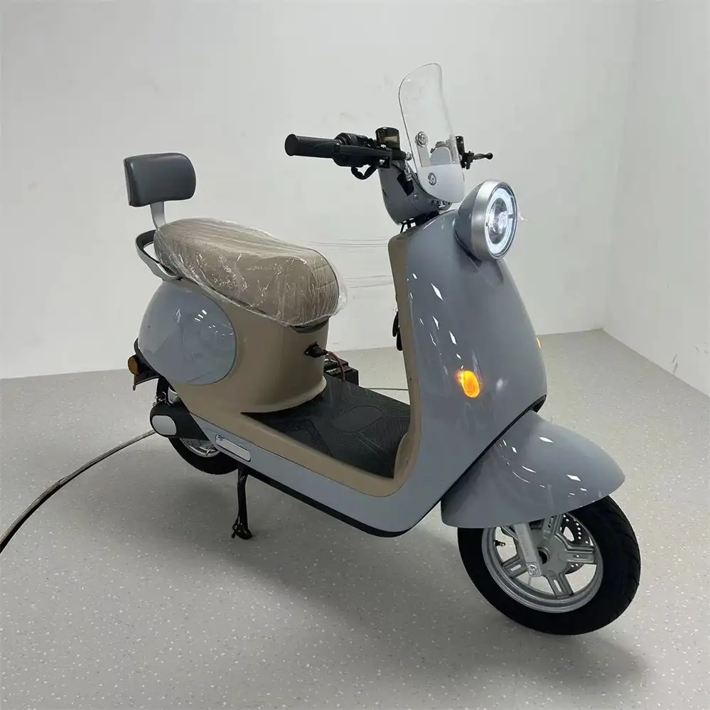 SM2DM-33 Gallop 1000W – Proven Chinese Motorcycle Manufacturers for Adult Markets - Image 4