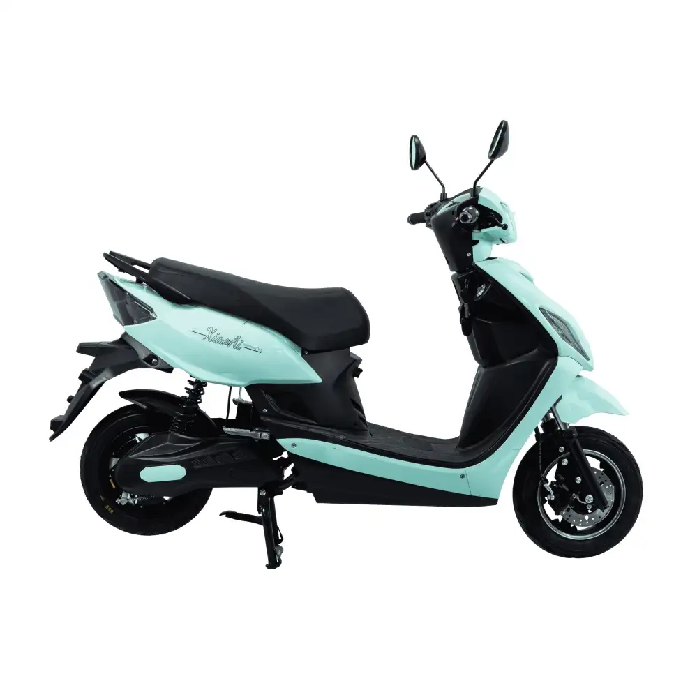 SM2DM-31 Beast 1000W Electric Bicycle Wholesale – Front/Rear Disc for Tough Terrain - Image 4