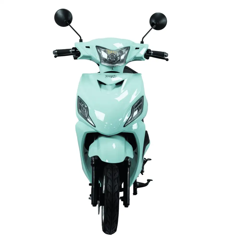 SM2DM-31 Beast 1000W Electric Bicycle Wholesale – Front/Rear Disc for Tough Terrain - Image 6