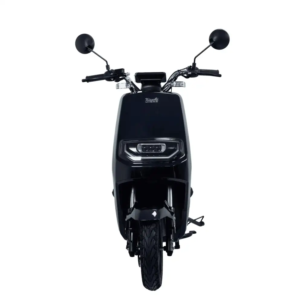 Electric Motorcycle 2000W Wholesale-SMXH SM2DM-01 - Image 2