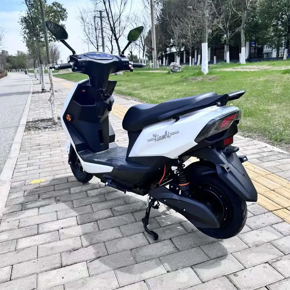 Best 1000W Electric Motorcycle Wholesale | Proven SM2DM-25 - Image 5