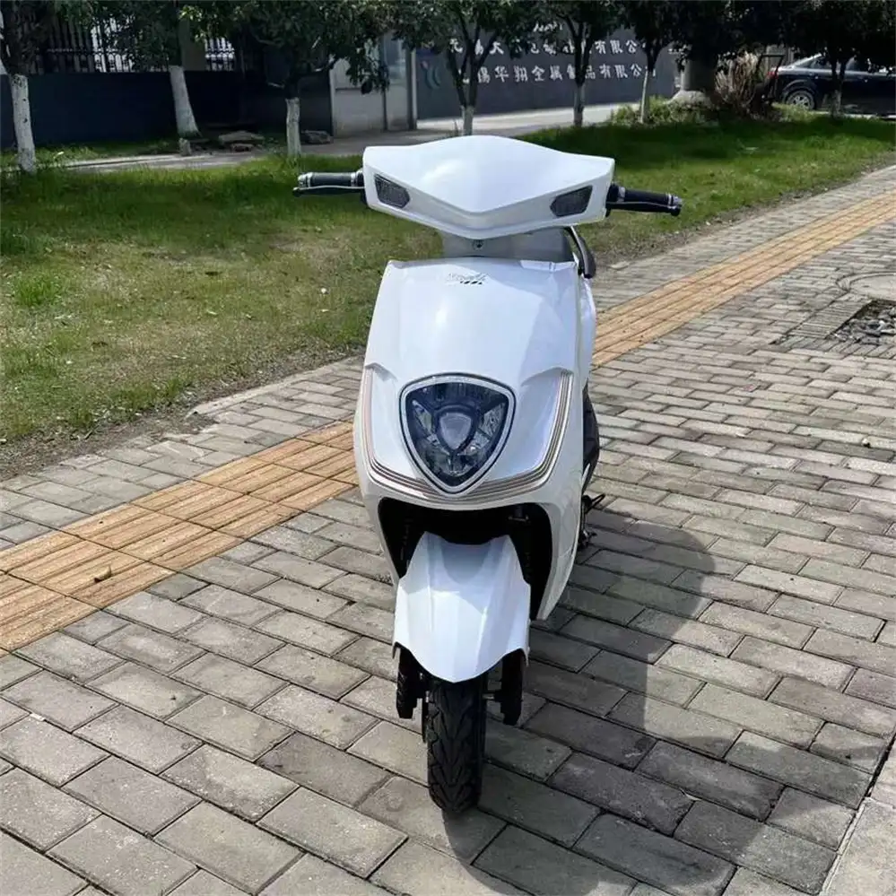Best 1000W Electric Motorcycle Wholesale | Proven SM2DM-25 - Image 4