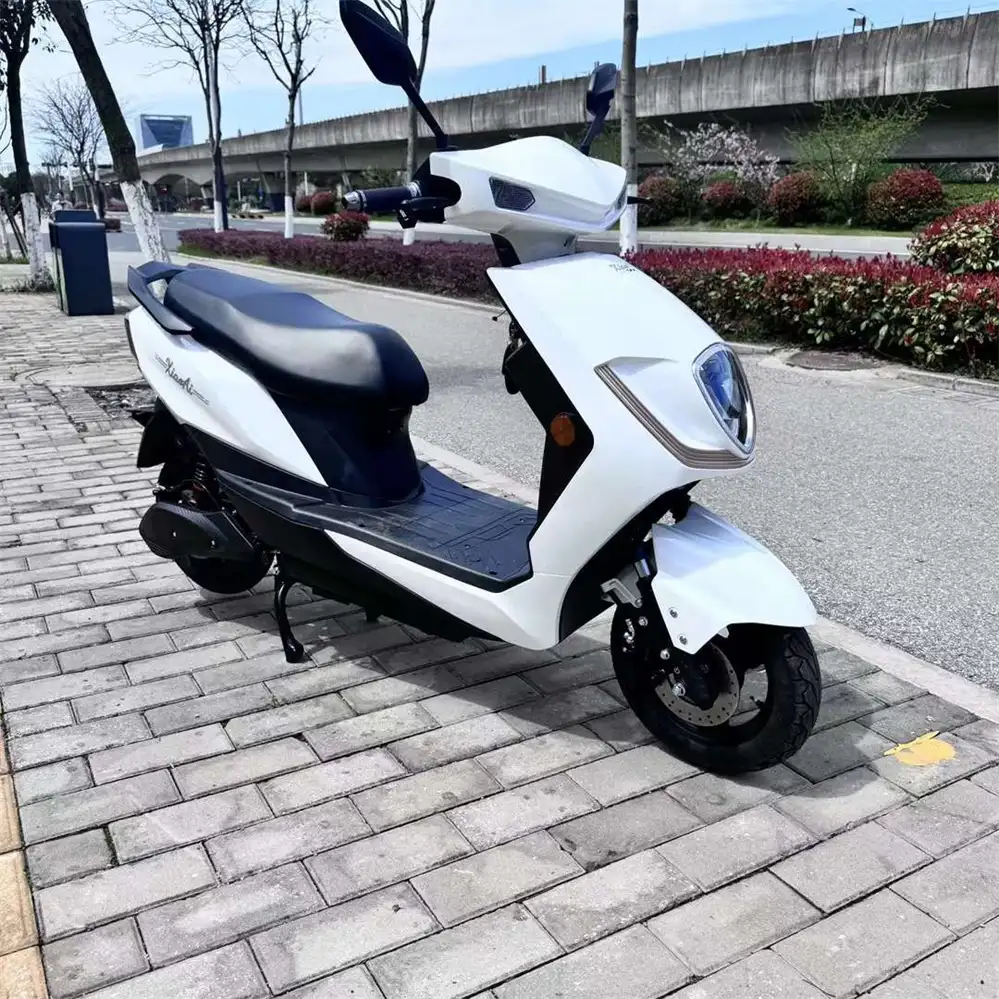 Best 1000W Electric Motorcycle Wholesale | Proven SM2DM-25 - Image 2