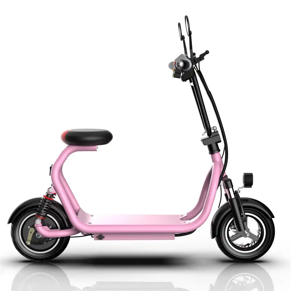 Best Electric Bike 350W OEM Wholesale | Factory Direct SM2ZD-01 - Image 4
