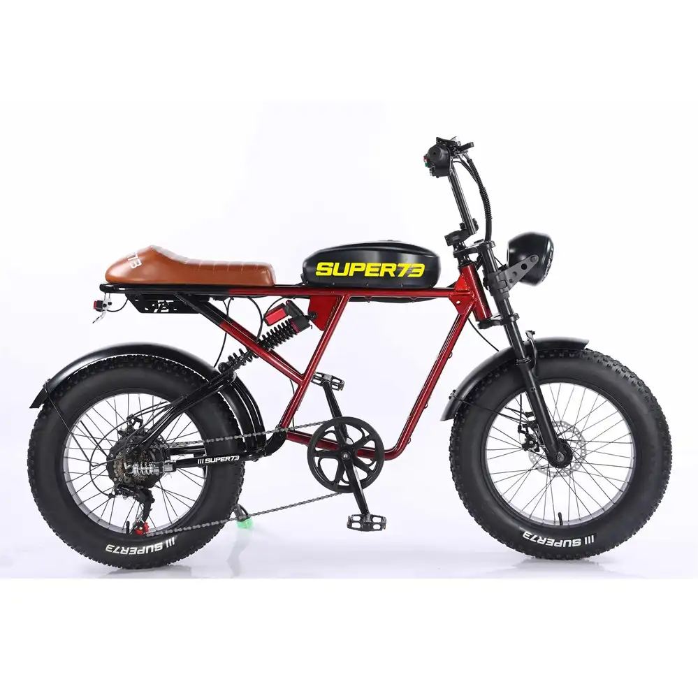 Best Electric Bike 750W Wholesale for Europe | SM2ZD-Z3 - Image 4