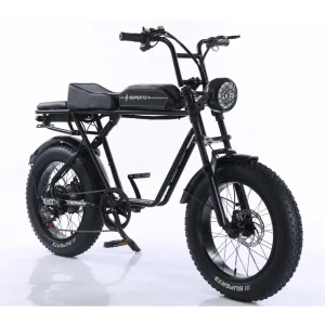 Electric Bike Wholesale in USA 750W Motor