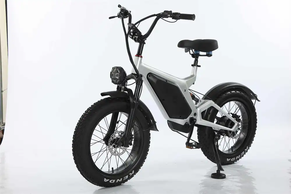 electric bike manufacturers in china (2) electric bike manufacturers in china