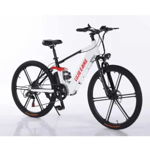 Chinese Ebike Manufacturers For 350w 24 Inch Mountain Bike