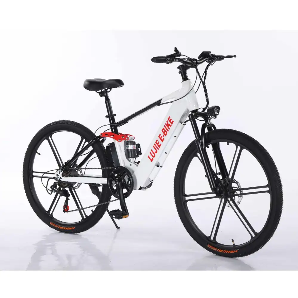 Chinese Ebike Manufacturers For 350w 24 Inch Mountain Bike