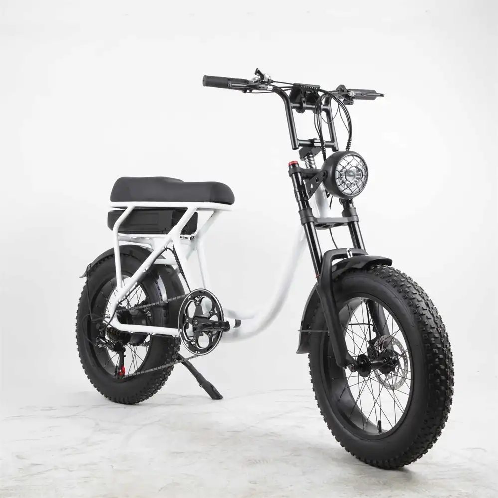 China Electric Bicycle Manufacturers 500w 20 Inch