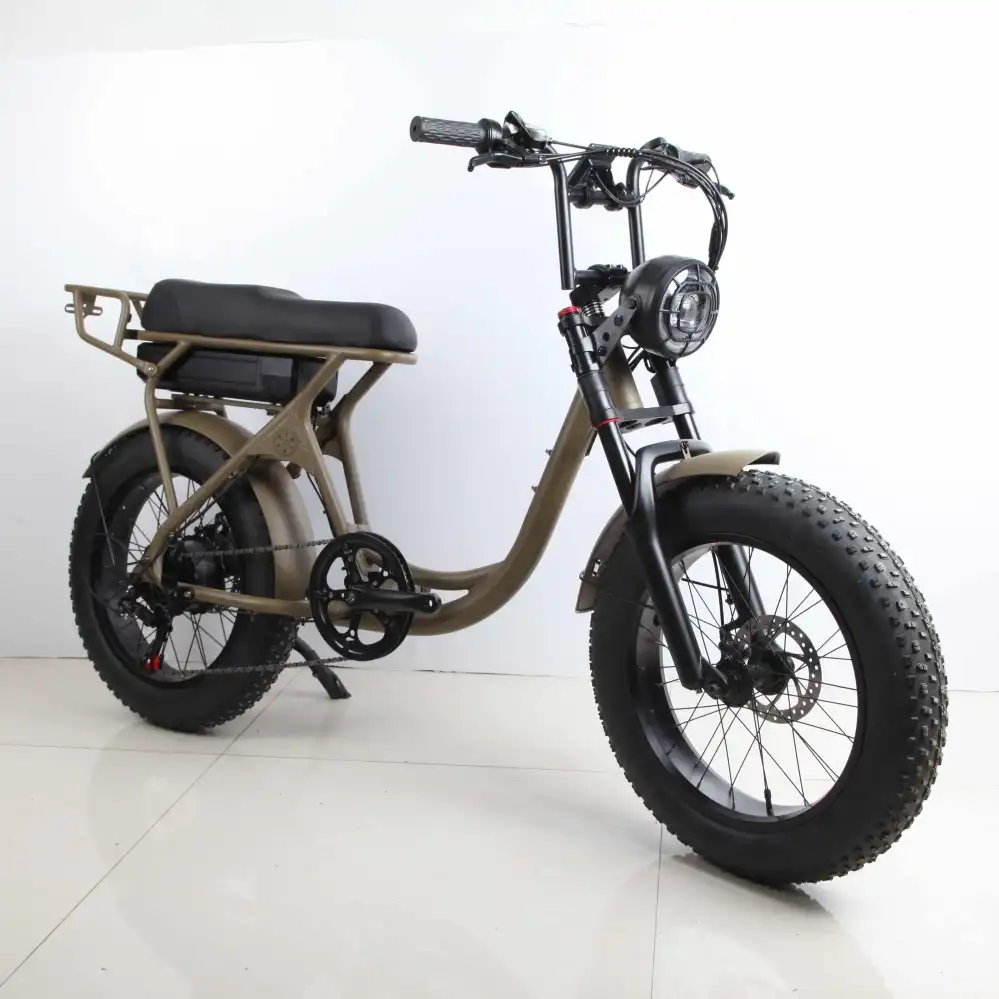 Best Electric Bike China 500W 20 Inch Wholesale | SM2ZD-04 - Image 4