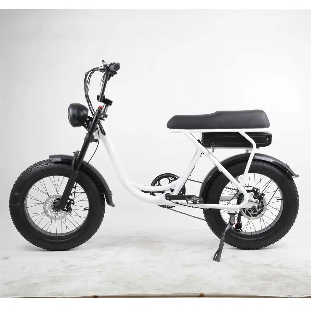 Best Electric Bike China 500W 20 Inch Wholesale | SM2ZD-04 - Image 3