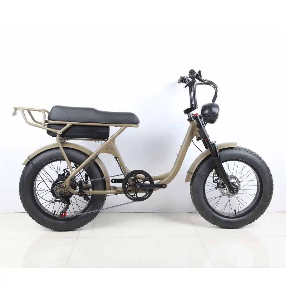Best Electric Bike China 500W 20 Inch Wholesale | SM2ZD-04 - Image 2