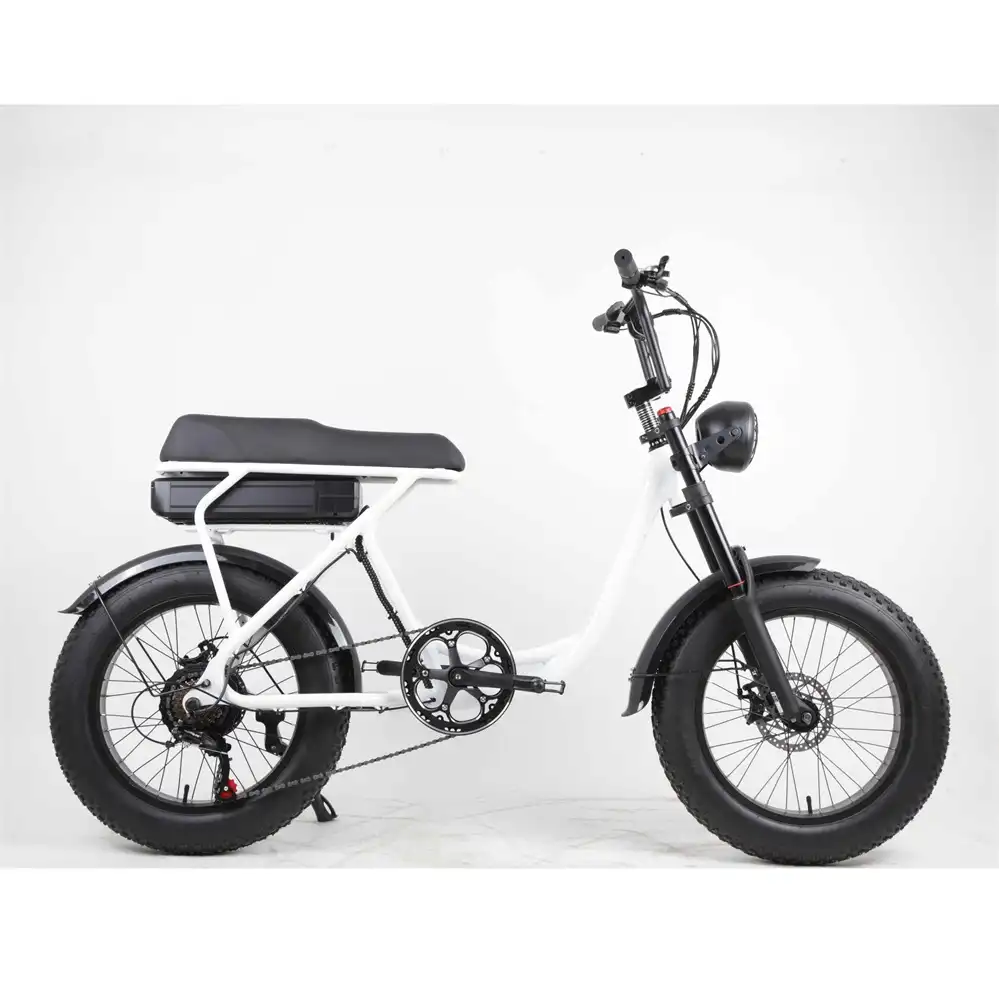 Best Electric Bike China 500W 20 Inch Wholesale | SM2ZD-04 - Image 5
