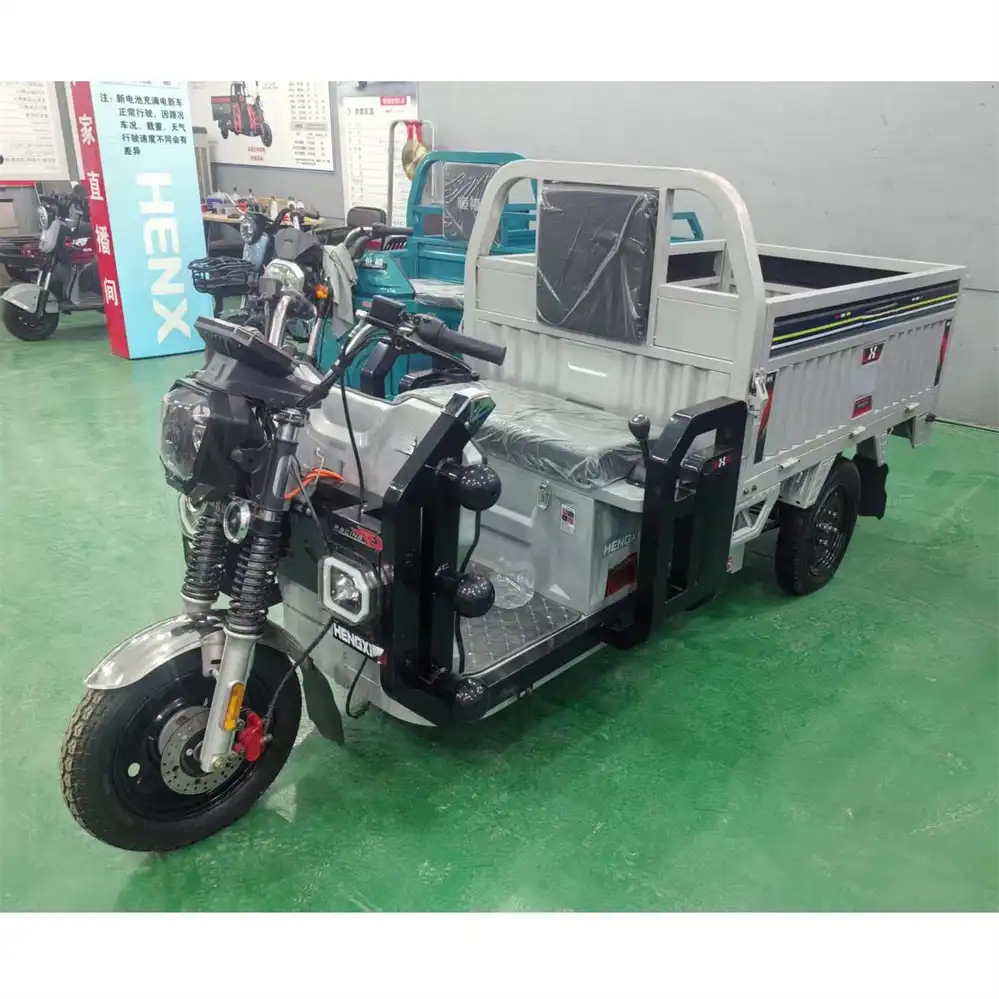 Best Cargo Trike Double Beam 1000W Factory Direct Wholesale | SM3THD-03 - Image 6