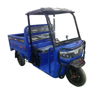 electric tricycle car SMXH SM3THD-06 wholesale factory direct