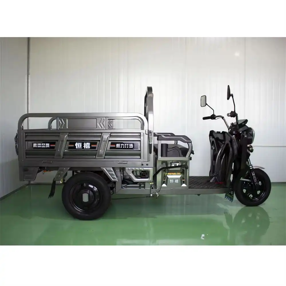 Best 3 Wheel Electric Bike 800W Compact Cargo Wholesale | SM3THD-05 - Image 2