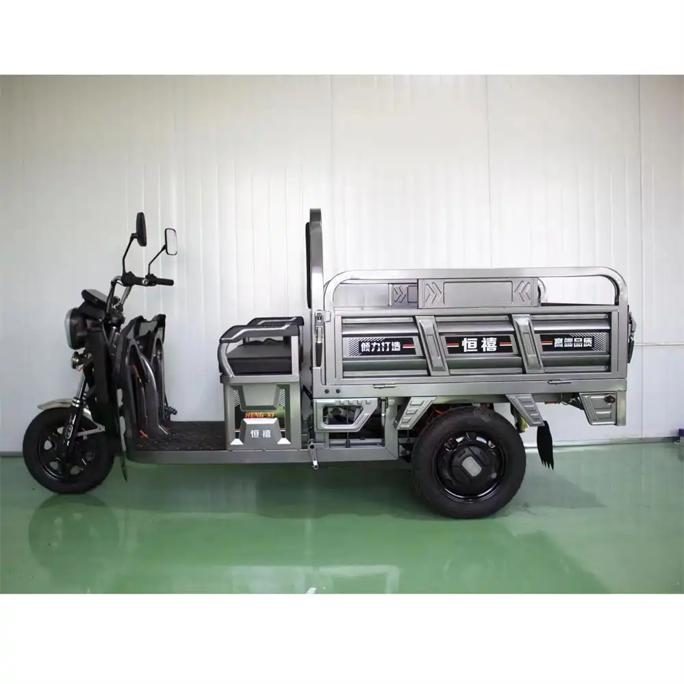 Best 3 Wheel Electric Bike 800W Compact Cargo Wholesale | SM3THD-05 - Image 4