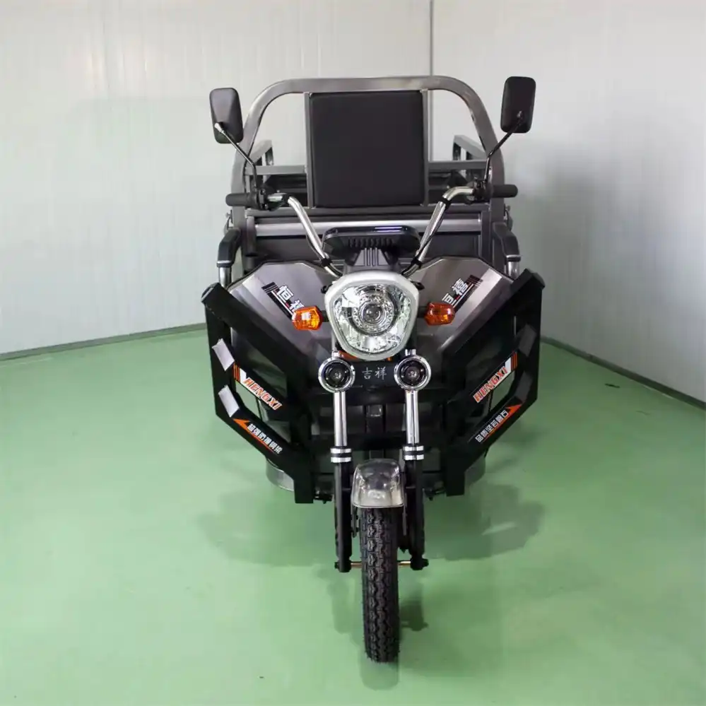 Best 3 Wheel Electric Bike 800W Compact Cargo Wholesale | SM3THD-05 - Image 3