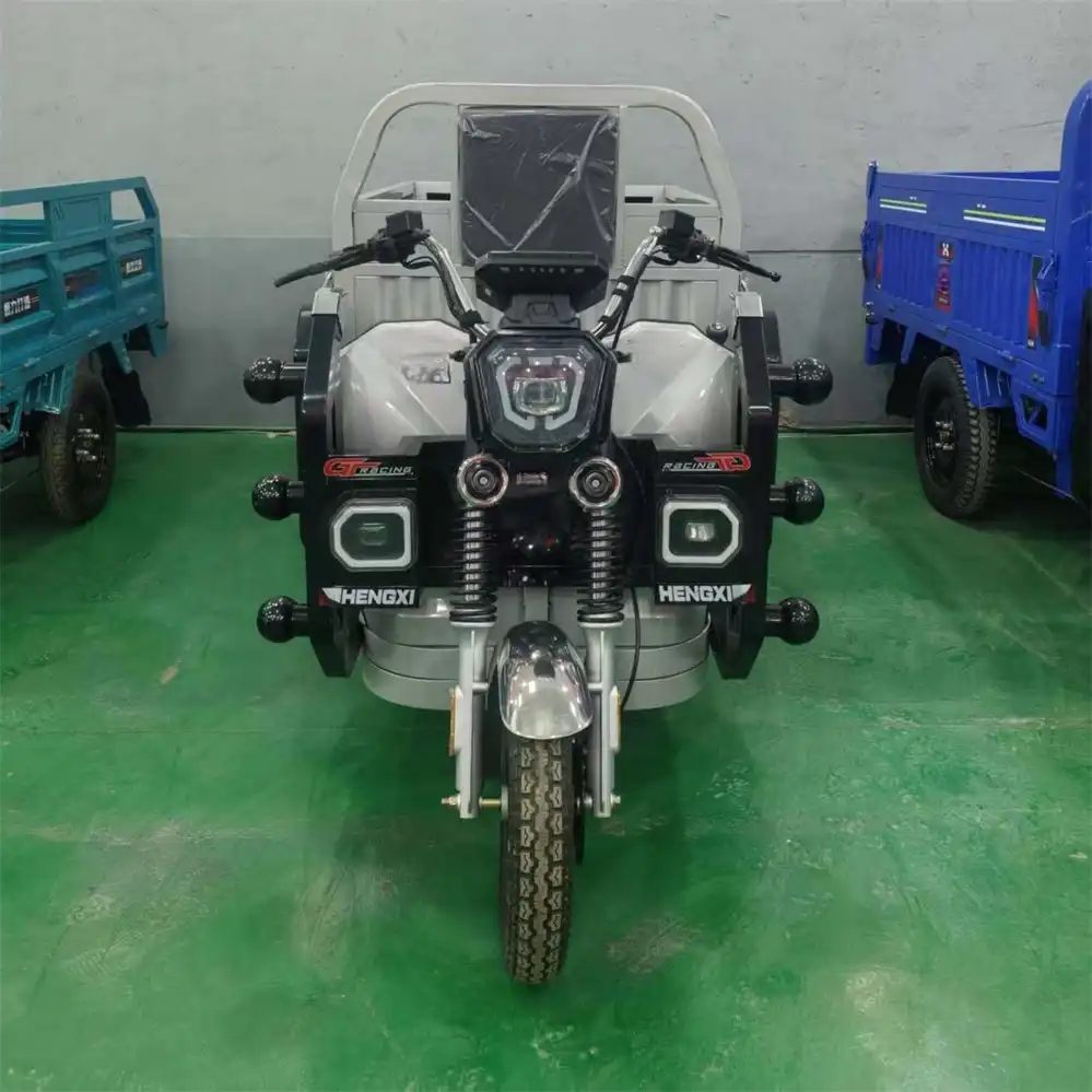 Best Cargo Trike Double Beam 1000W Factory Direct Wholesale | SM3THD-03 - Image 2