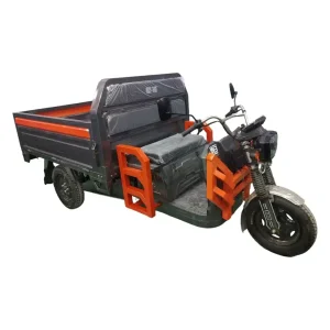 electric three wheel vehicles SMXH SM3THD-09 wholesale factory direct