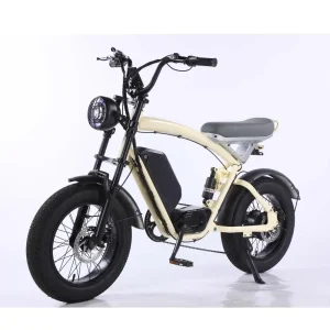 Two Wheeler Electric Vehicles 1000w Wholesale Price