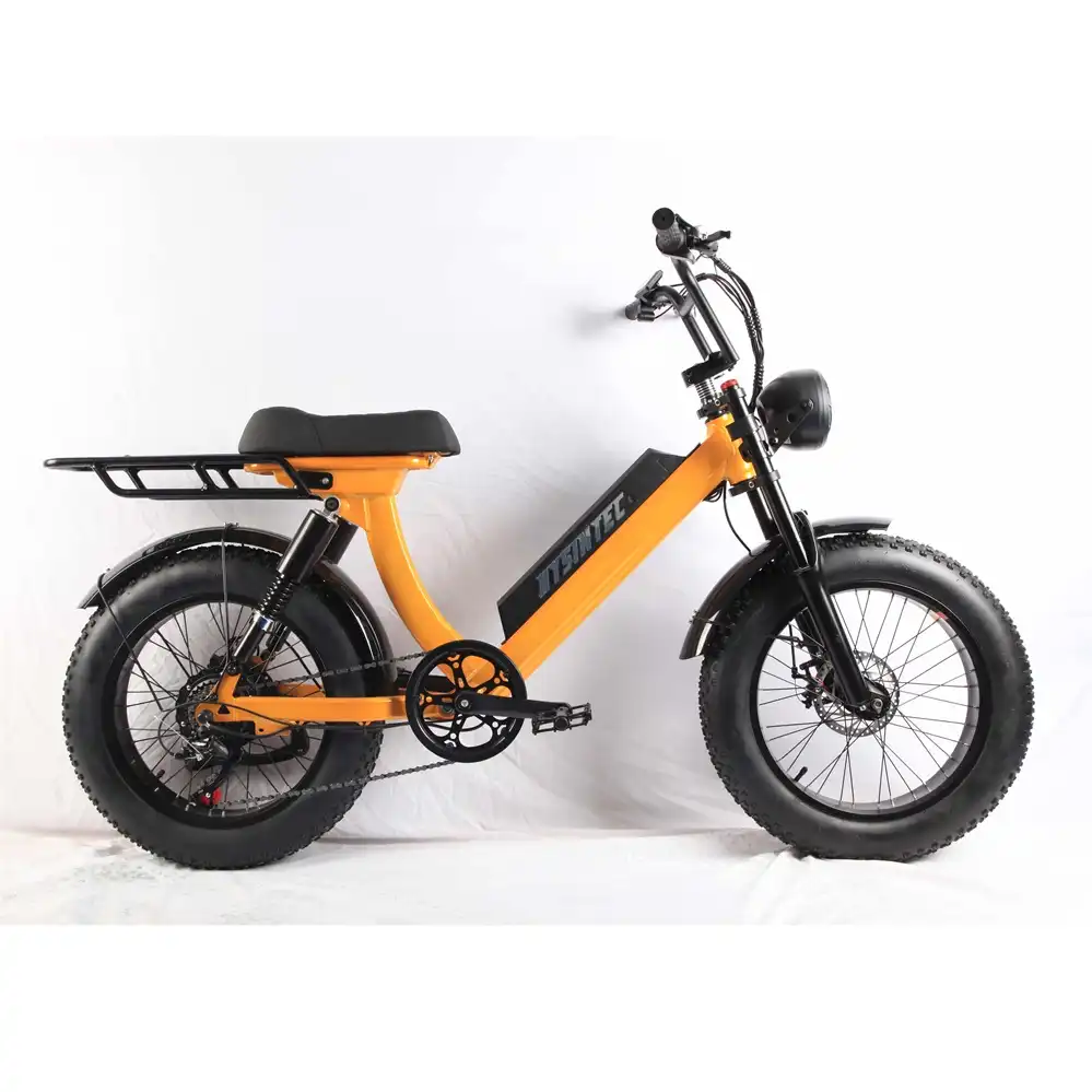 Electric Bicycle Wholesale for 500w 7 speed Direct from Factory