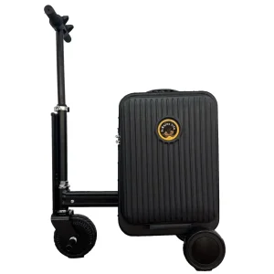 Electric Suitcase 250w from China Supplier