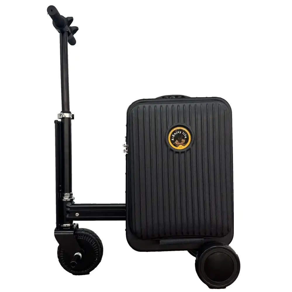 Electric Suitcase 250w from China Supplier