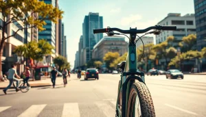 Light Weight Ebike (1)