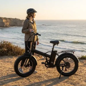 foldable Light Weight Ebike 500w