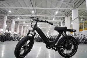 Light Weight Ebike factory
